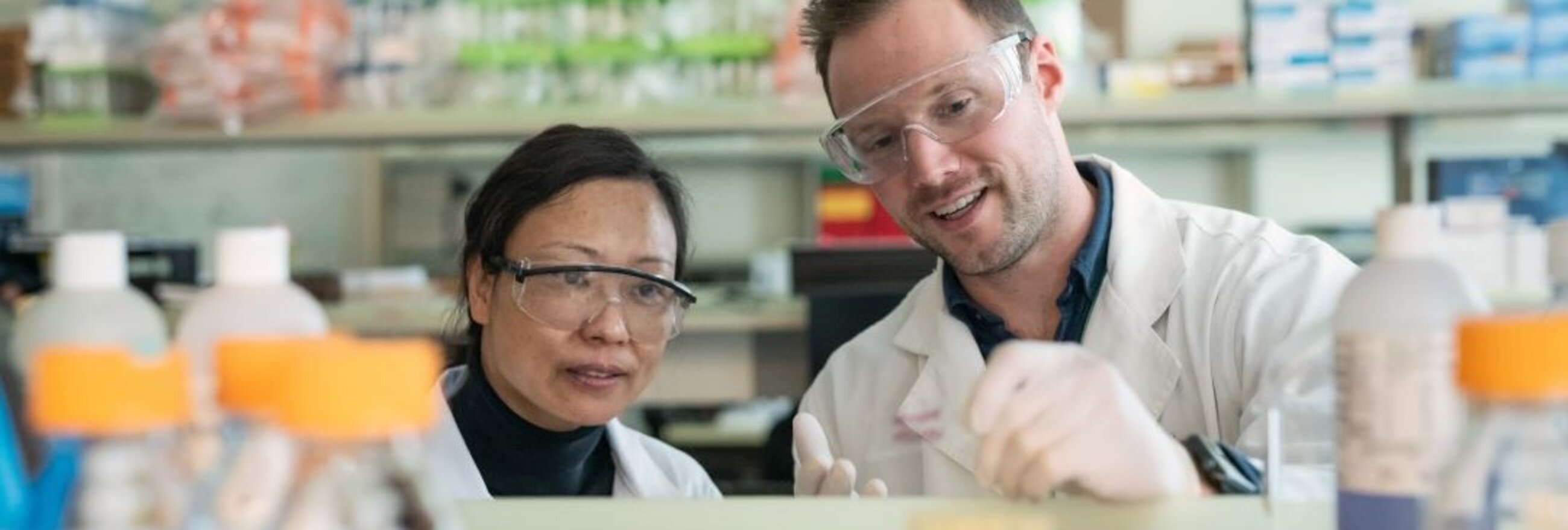 two scientists examine a sample